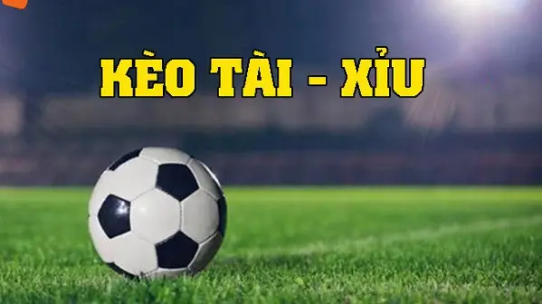 Kèo Tài Xỉu 2 1/4 - Bí Mật Chinh Phục Cá Cược Bóng Đá