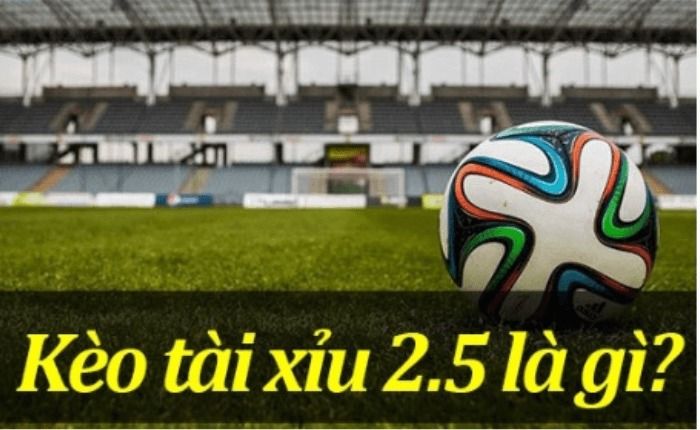 Kèo Tài Xỉu 2 3/4 Là Gì - Giải Mã Bí Ẩn Cách Cá Cược Hiệu Quả
